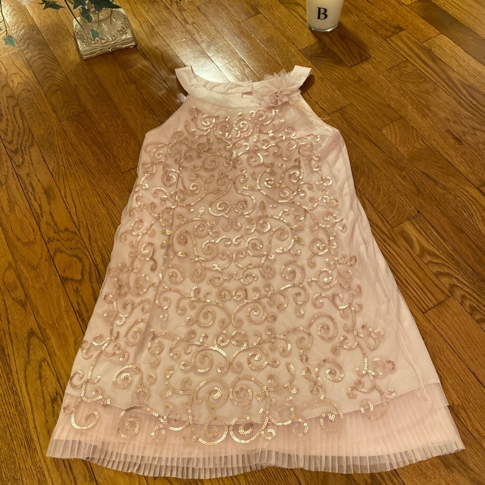 Pink Biscotti Girls Dress Size 14